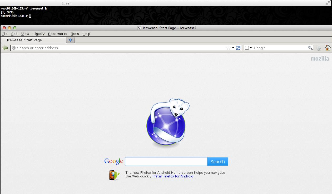 Iceweasel, running on a Linode