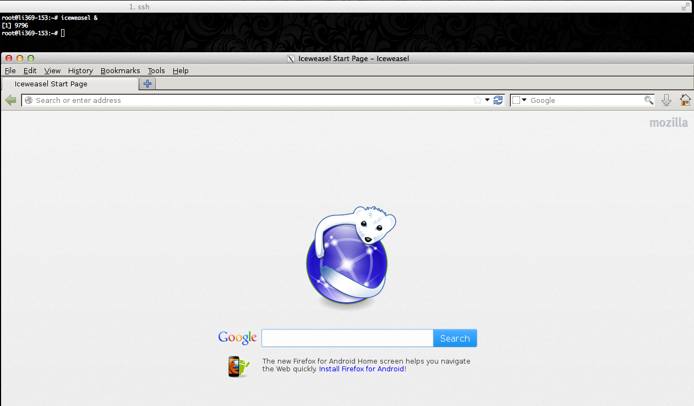 Iceweasel, running on a Linode