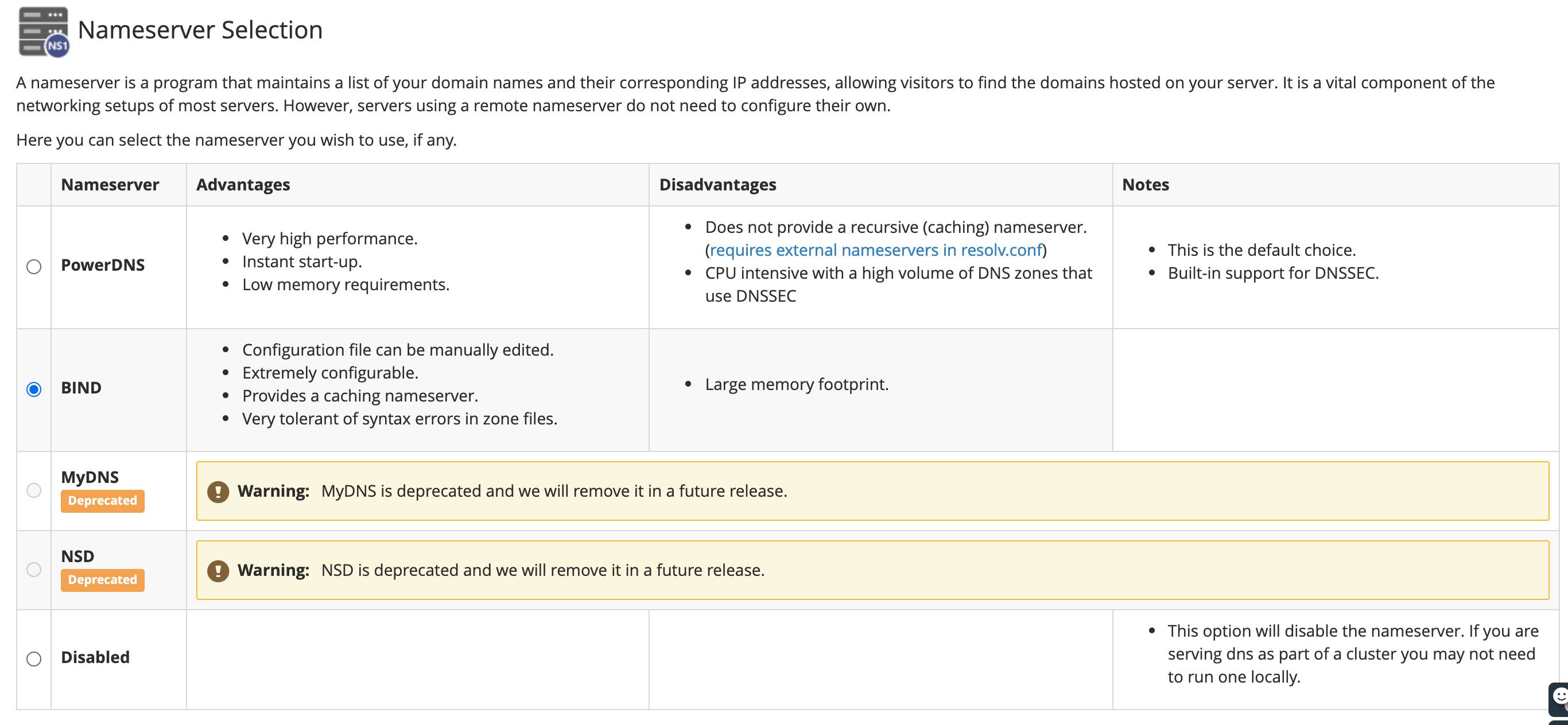 cPanel Nameserver selection screen.